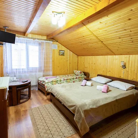 у василини та романа 4*