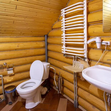 у василини та романа