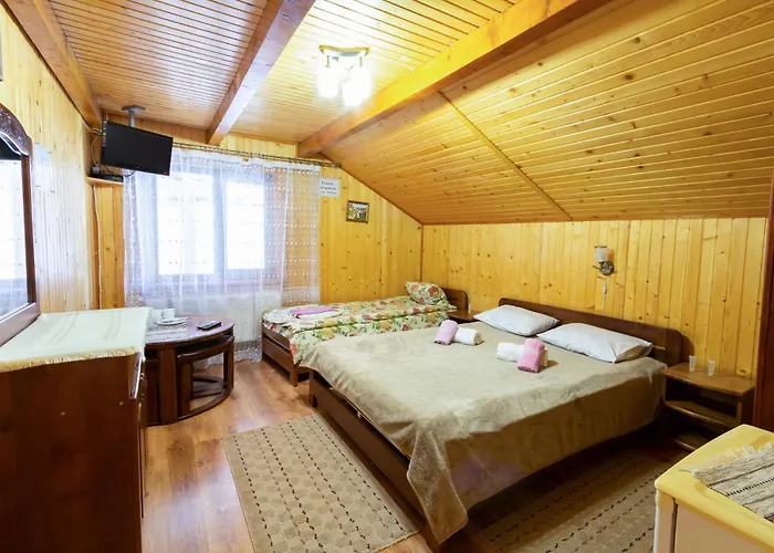 у василини та романа 4*
