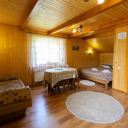 у василини та романа