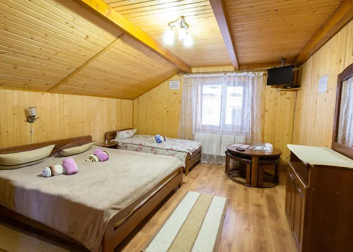 у василини та романа Penzion